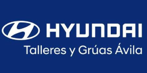 Talleres Grúas Ávila